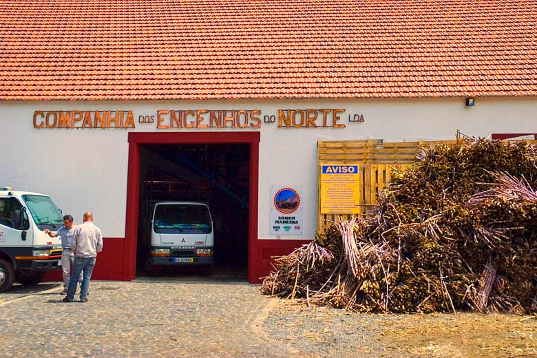 Sugarcane waiting to be processed at Engenhos do Norte (North Mills Distillery)