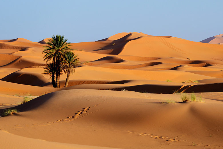 The rolling dunes of the Sahara, Morocco
