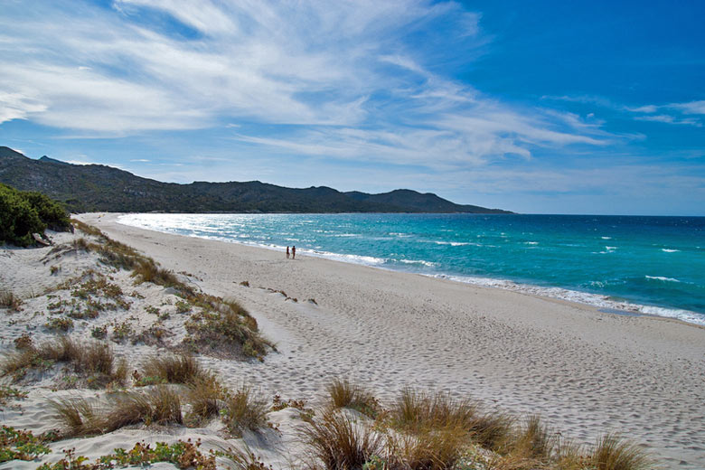 Saleccia Beach, Corsica Saleccia Beach, Corsica
