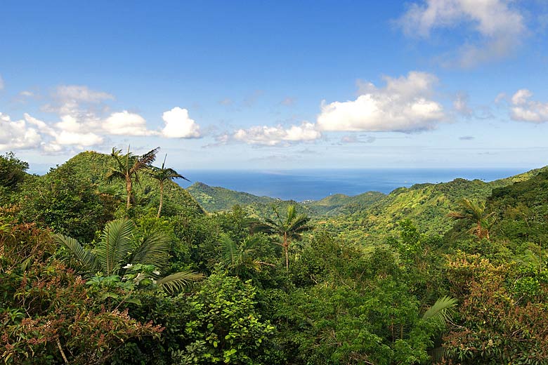 Spectacular sea views from the Grand Etang National Park, Grenada Spectacular sea views from the Grand Etang National Park, Grenada