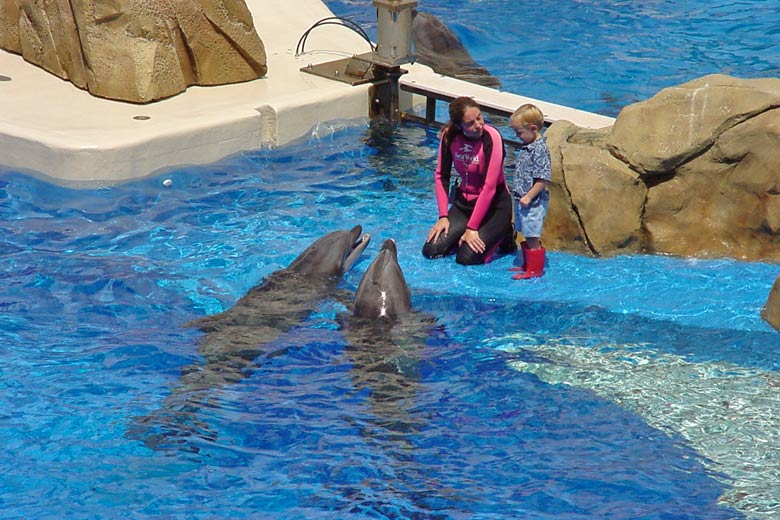 Sea World Orlando Florida © Fred Hsu Sea World Orlando Florida © Fred Hsu