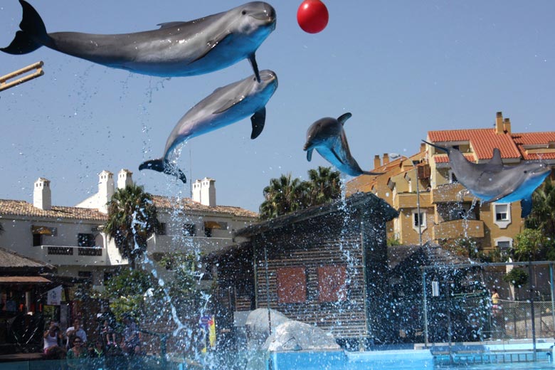 Selwo Marina, Costa del Sol, Spain © Pedro Lozano - Flickr Creative Commons Selwo Marina, Costa del Sol, Spain © Pedro Lozano - Flickr Creative Commons