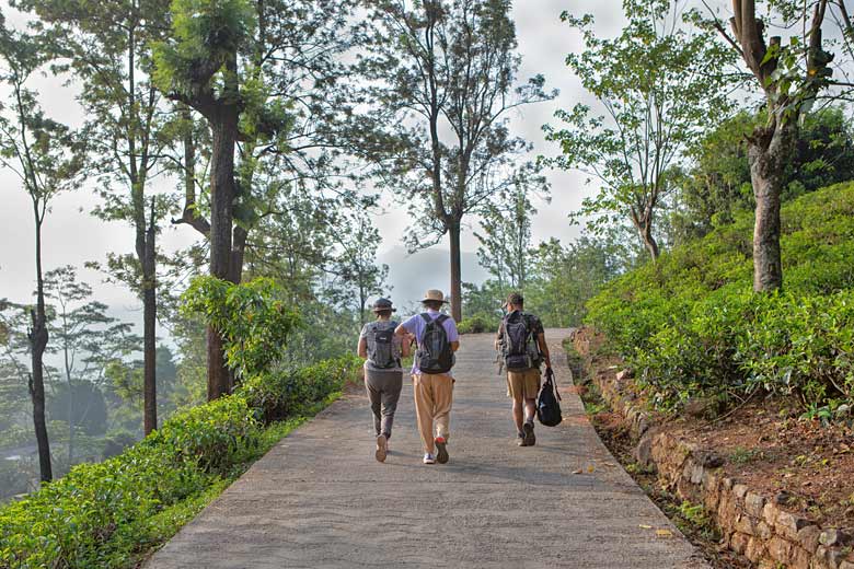 Setting off on The Pekoe Trail