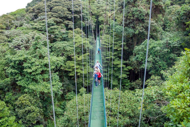 Taking in the view from the swaying hanging bridges