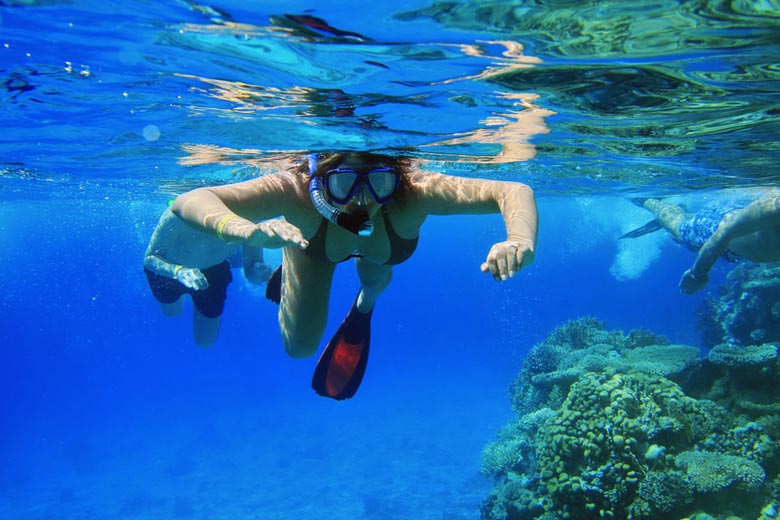 Snorkelling in the Red Sea, Egypt