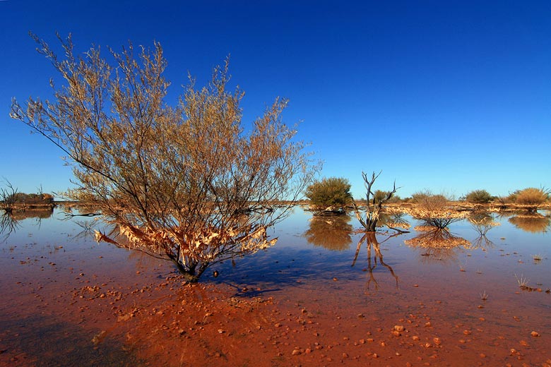 South Australia flooded desert