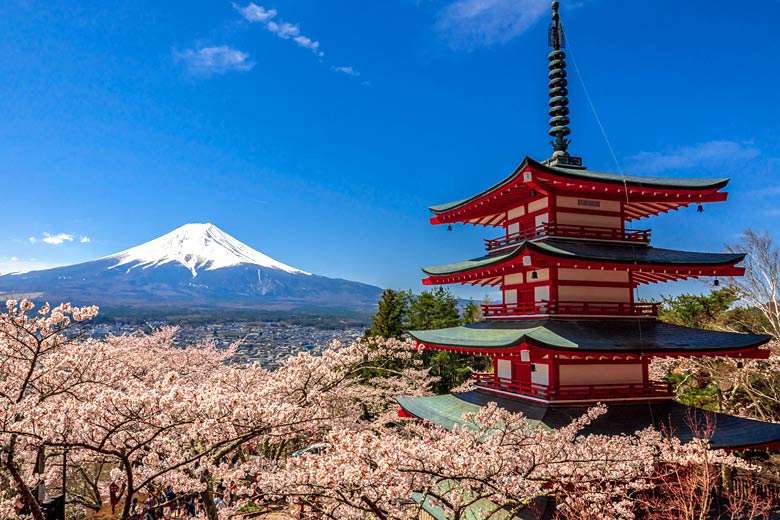 Spring blossom at the Chureito Pagoda, Fujiyoshida - © Aleksei Potov - Adobe Stock Image