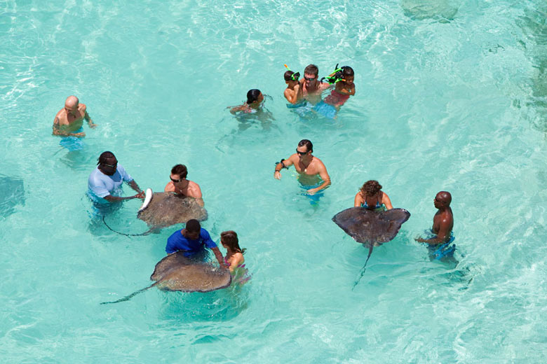 Stingray City, Antigua © Anthony DeFreitas - Flickr Creative Commons