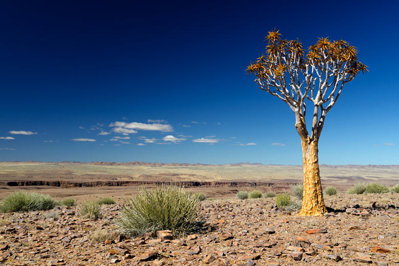 Subtropical deserts have the most hours of sunshine