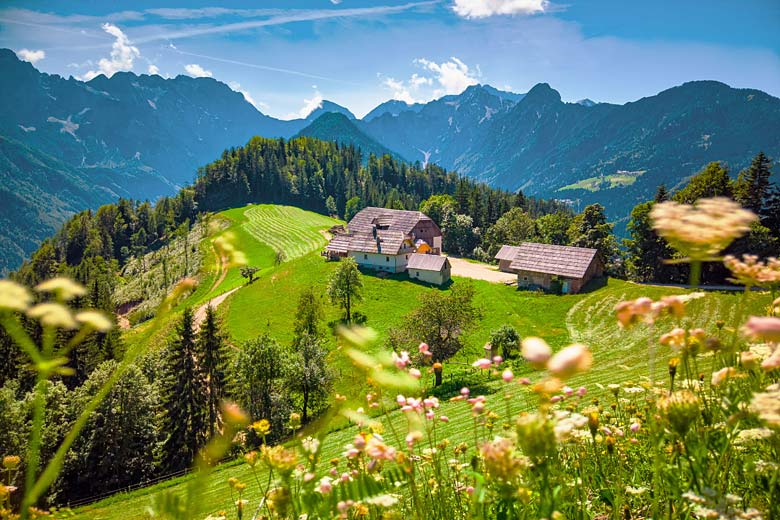 Summer in the Slovenian Alps Summer in the Slovenian Alps
