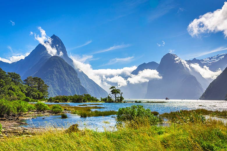 Summer in Milford Sound on New Zealand's South Island Summer in Milford Sound on New Zealand's South Island