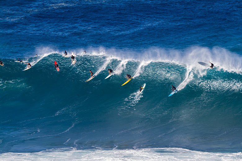 Surf's up: watch the pros at Waimea Bay Surf's up: watch the pros at Waimea Bay