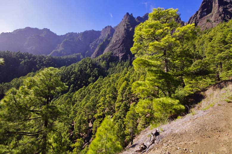 Inside Taburiente National Park, La Palma, Canary Islands © Nulinukas - Dreamstime.com Inside Taburiente National Park, La Palma, Canary Islands © Nulinukas - Dreamstime.com