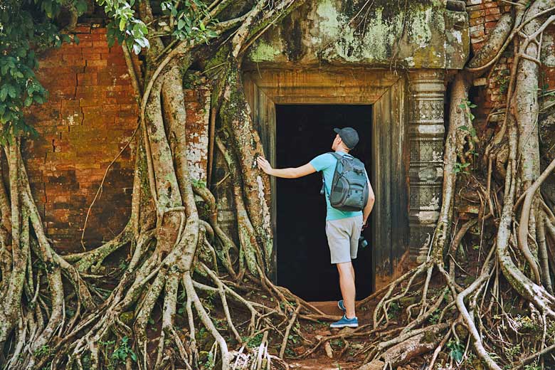 Root-entangled temple in Angkor Wat