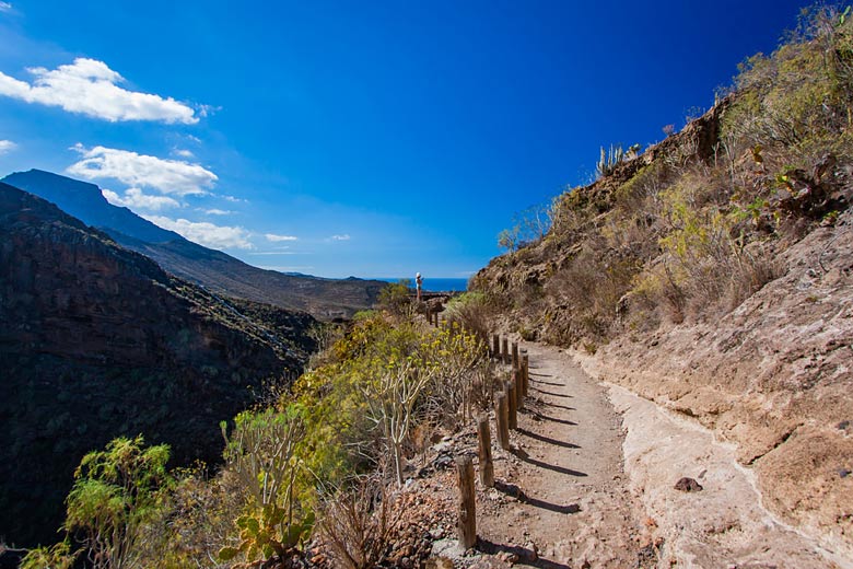 June marks the beginning of dry summer weather in Tenerife with little or no rain