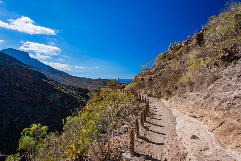 June marks the beginning of dry summer weather in Tenerife with little or no rain June marks the beginning of dry summer weather in Tenerife with little or no rain