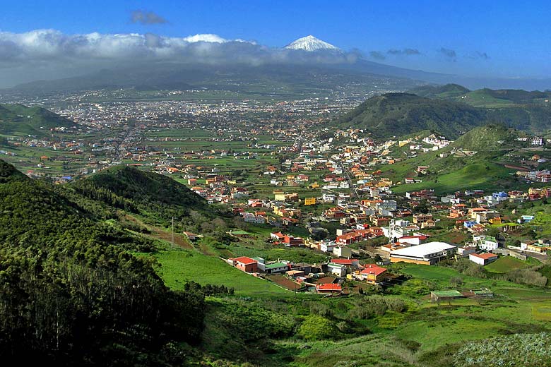 After winter rains, March is the greenest month of the year in Tenerife After winter rains, March is the greenest month of the year in Tenerife