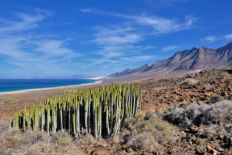 7 activities for all the family in Fuerteventura