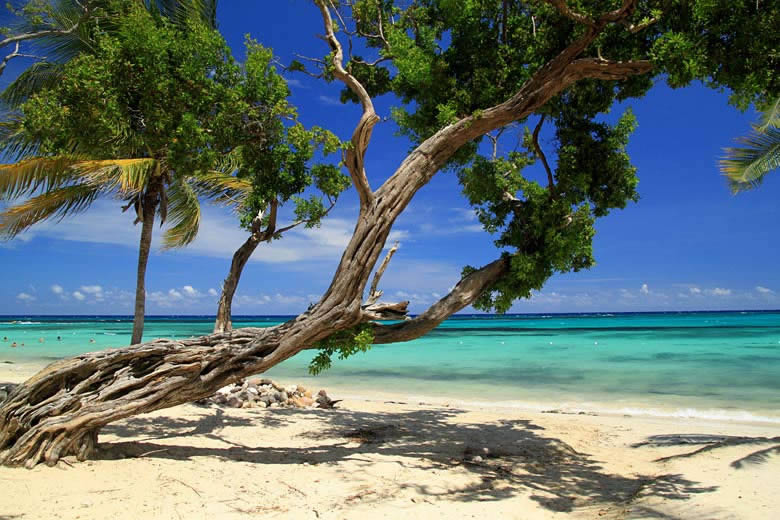 Things to do when you visit Montego Bay, Jamaica © Lionel - Fotolia.com
