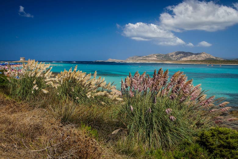 Sardinia coastline