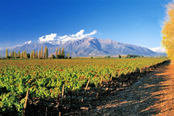 10 things to see and do in Santiago, Chile