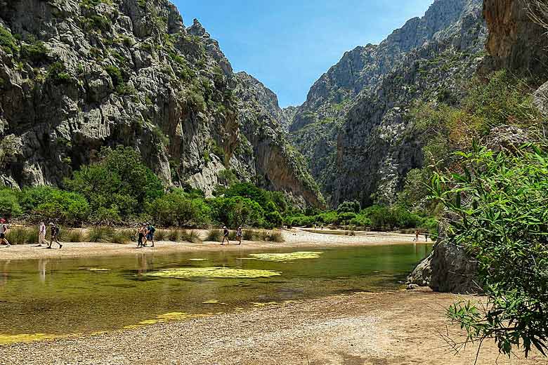 In the Tramuntana Mountains