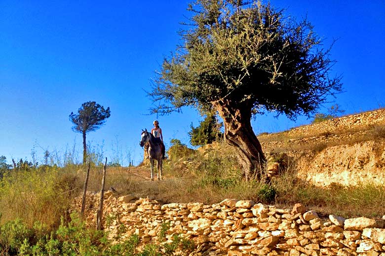 Trek on horseback with Ibiza Horse Valley Trek on horseback with Ibiza Horse Valley