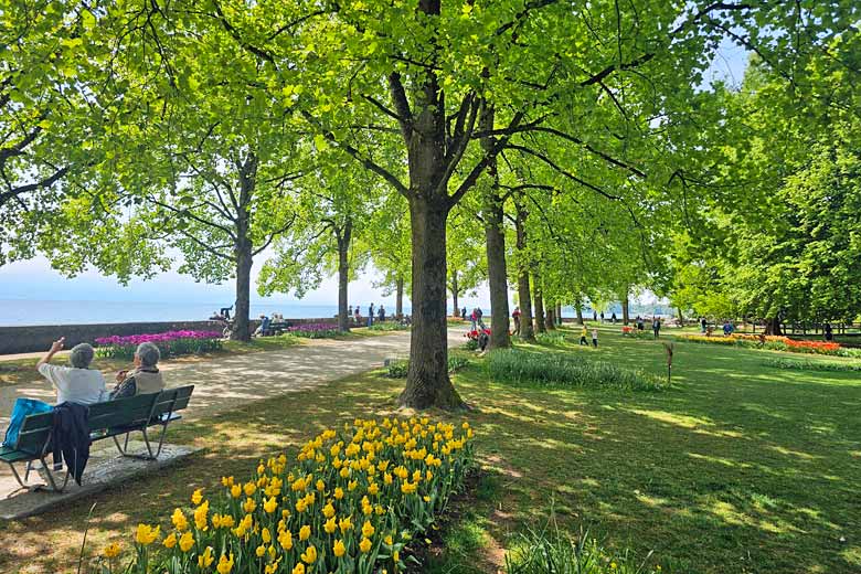 Tulips in Morges on Lake Geneva, Switzerland