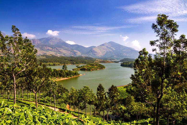 Typical scenery in the Tea Country of eastern Kerala