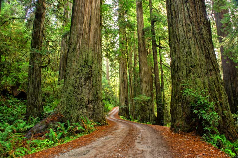 Uncovering The Best National Parks In California, USA © bra_nec - Flickr Creative Commons