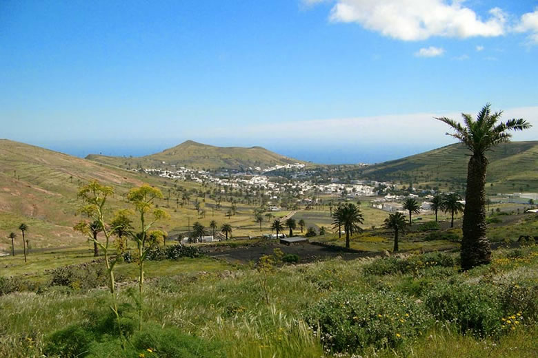 Valley of a Thousand Palms, Lanzarote Valley of a Thousand Palms, Lanzarote