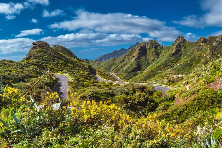The wetter, greener north of Tenerife The wetter, greener north of Tenerife