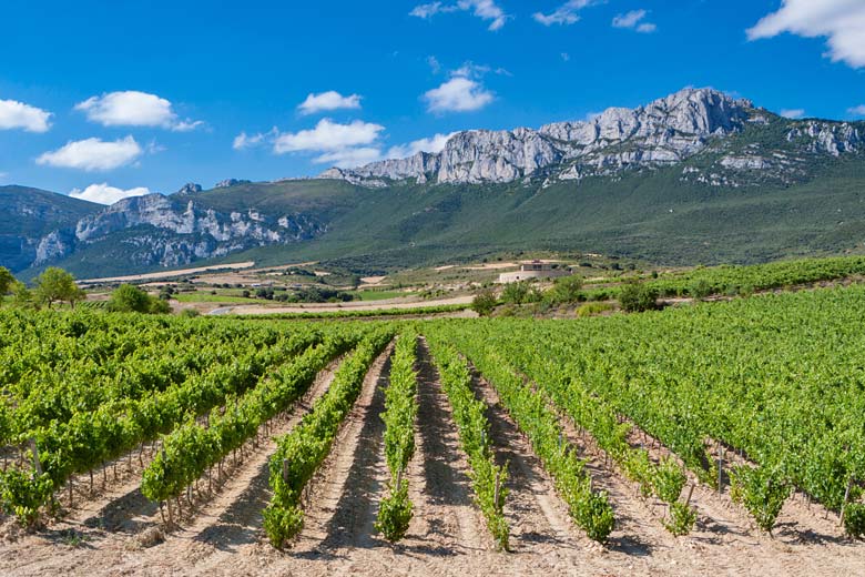 How to make the most of La Rioja: top wineries, activities & festivals