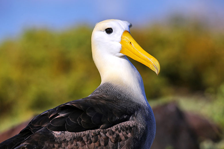 8 of the best islands in the Galápagos