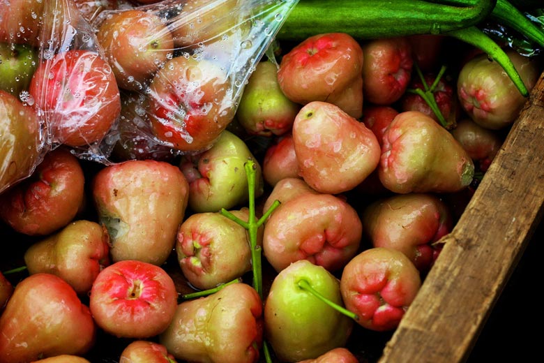 Wax apples in St Lucia Wax apples in St Lucia