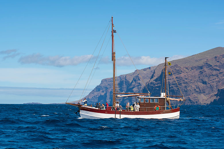 Enjoy whale and dolphin-watching year round Enjoy whale and dolphin-watching year round