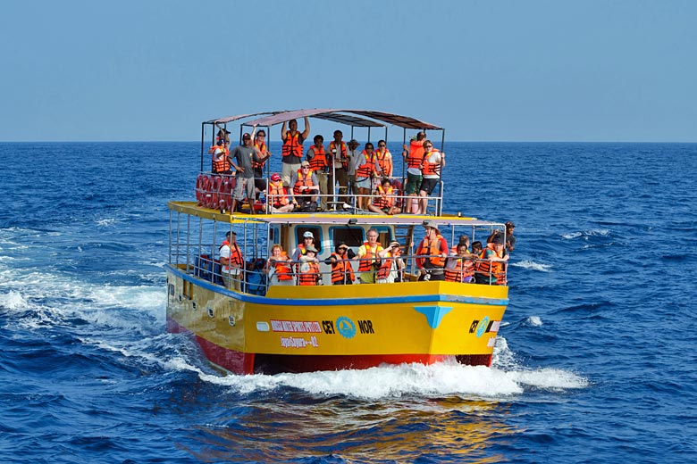 Whale watching in southern Sri Lanka