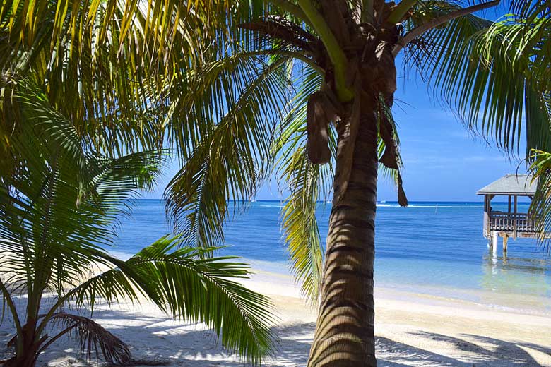 White sand beach on the island of Roatan, Honduras