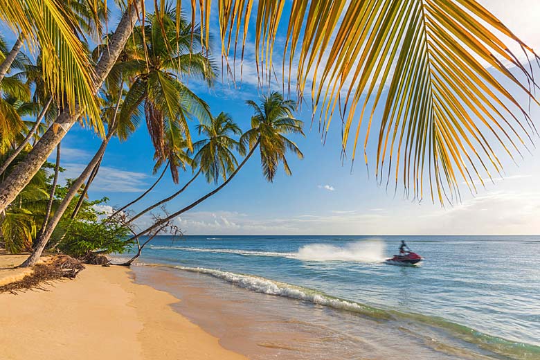 Why Tobago is the perfect Caribbean island for nature lovers © Jon Arnold Images - Alamy Stock Photo
