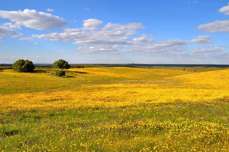 Why you need to get to know the Alentejo, Portugal