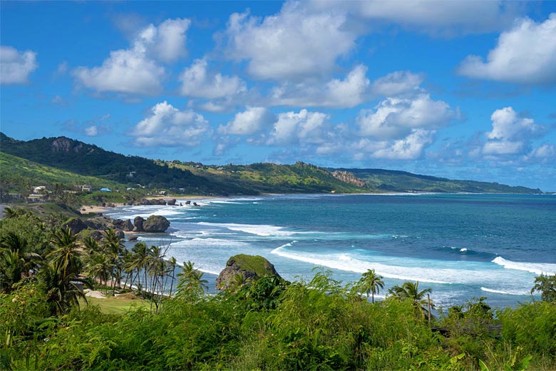 Explore the wilds of the Bathsheba coast