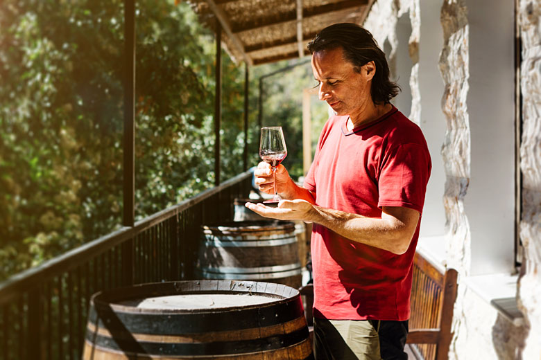 Tackle a wine-tasting session at a local winery Tackle a wine-tasting session at a local winery