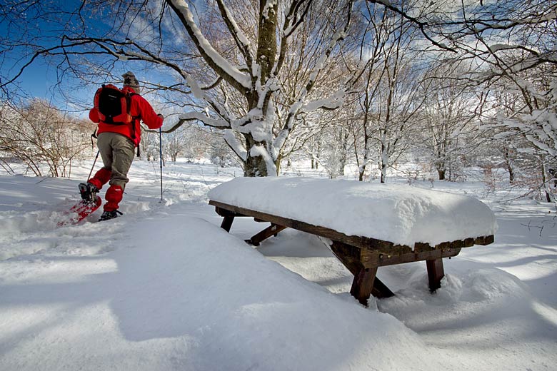 Snowshoeing in Casentinesi Forests National Park © Roberto Nencini - Adobe Stock Image
