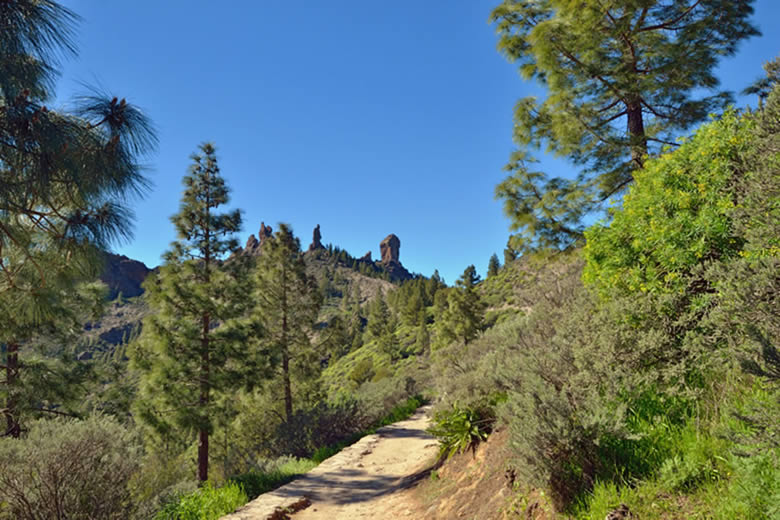 Winter is a great time for walking in Gran Canaria