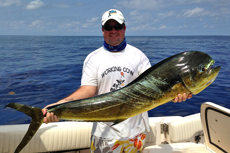 You can fish all year round in Antigua You can fish all year round in Antigua