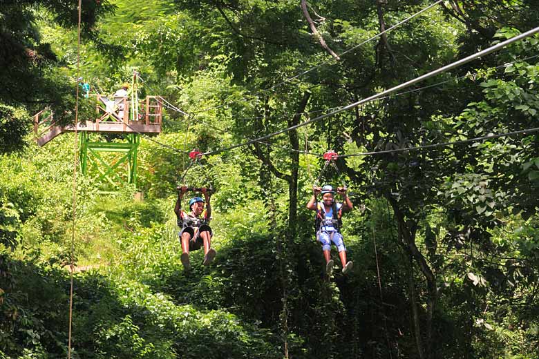 Fly through the trees at Sky Safari St Kitts