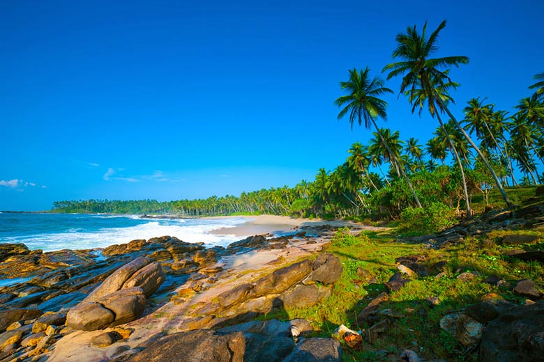 Beach with palm trees in Sri Lanka © Anton Gvozdikov - Fotolia.com