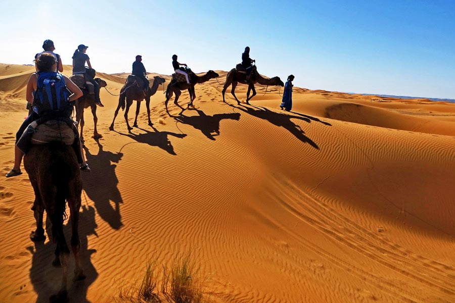 By camel across the dunes at Erfoud © ANDR3W A - Flick Creative Commons By camel across the dunes at Erfoud © ANDR3W A - Flick Creative Commons