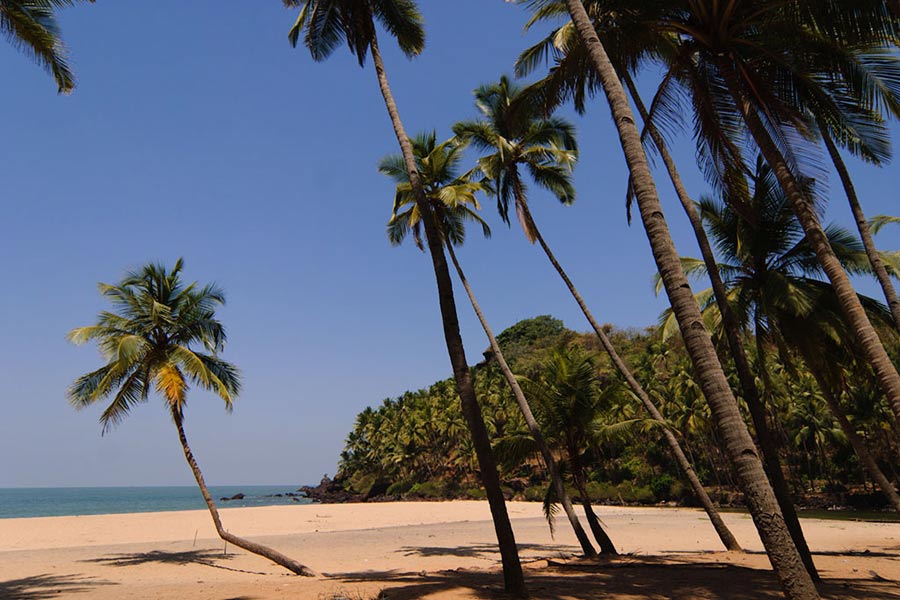 Cabo de Rama Beach, Goa © Michael Scalet - Flickr Creative Commons