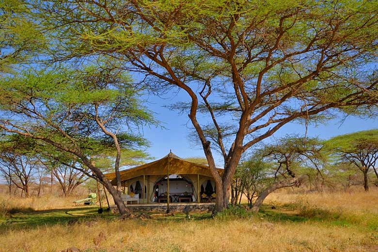 Honeymoon on safari in Kenya © Juergen Ritterbach - Alamy Stock Photo Honeymoon on safari in Kenya © Juergen Ritterbach - Alamy Stock Photo